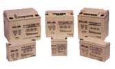 ŵ˼(ENERSYS) Datesafe NPXƷϵ